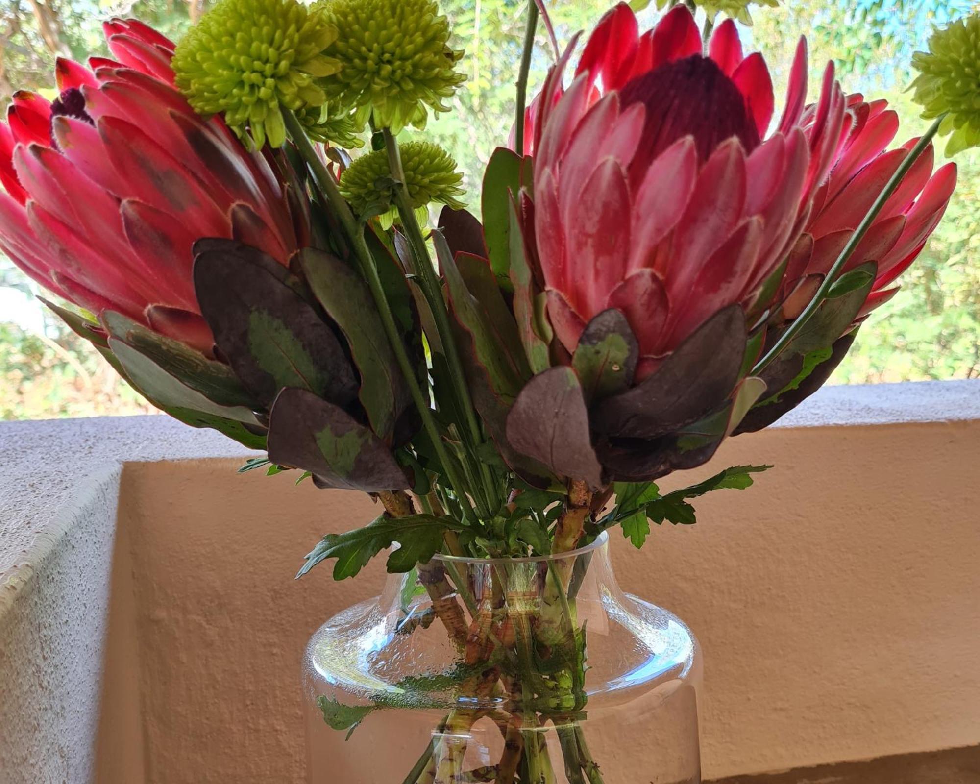 The Dreamcatcher Lodge Hoedspruit Εξωτερικό φωτογραφία